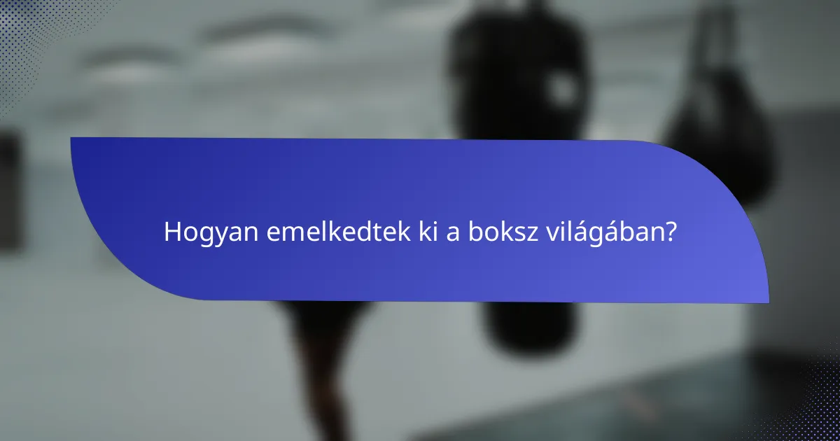 Hogyan emelkedtek ki a boksz világában?