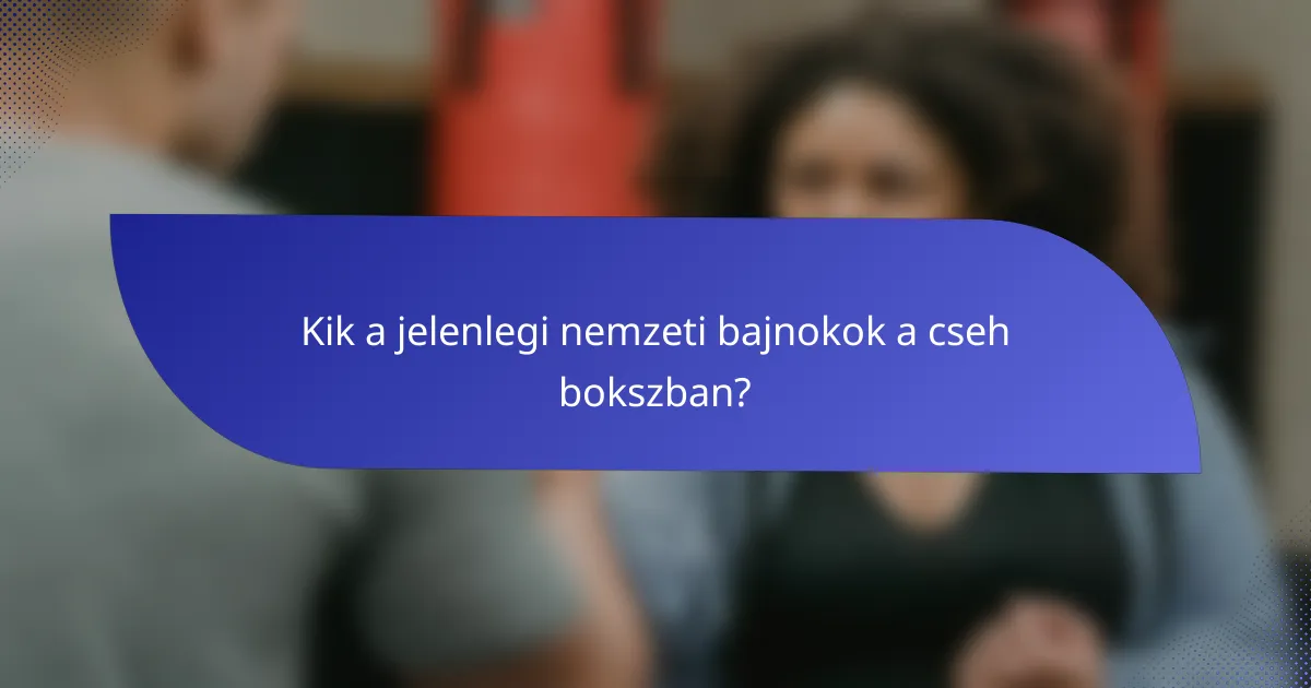 Kik a jelenlegi nemzeti bajnokok a cseh bokszban?