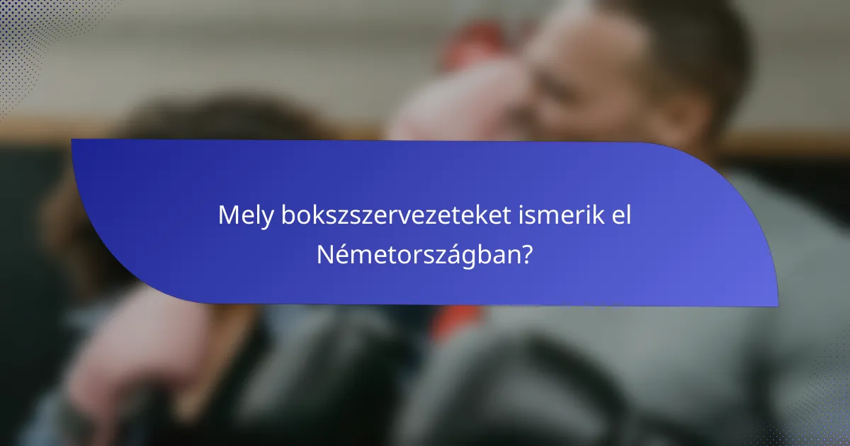 Mely bokszszervezeteket ismerik el Németországban?