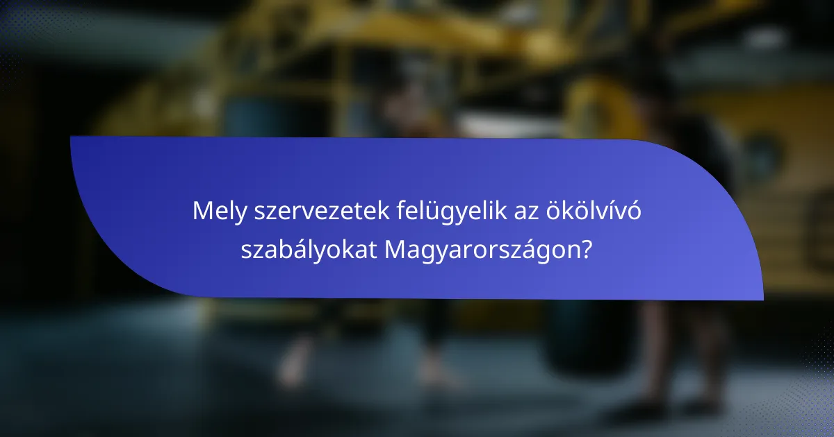 Mely szervezetek felügyelik az ökölvívó szabályokat Magyarországon?