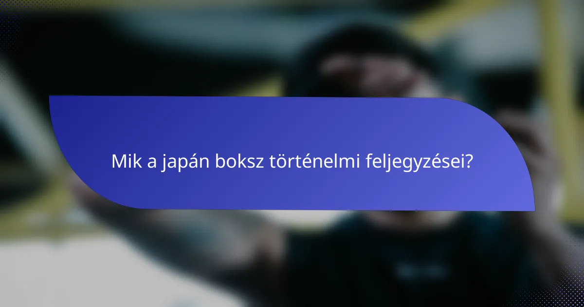Mik a japán boksz történelmi feljegyzései?