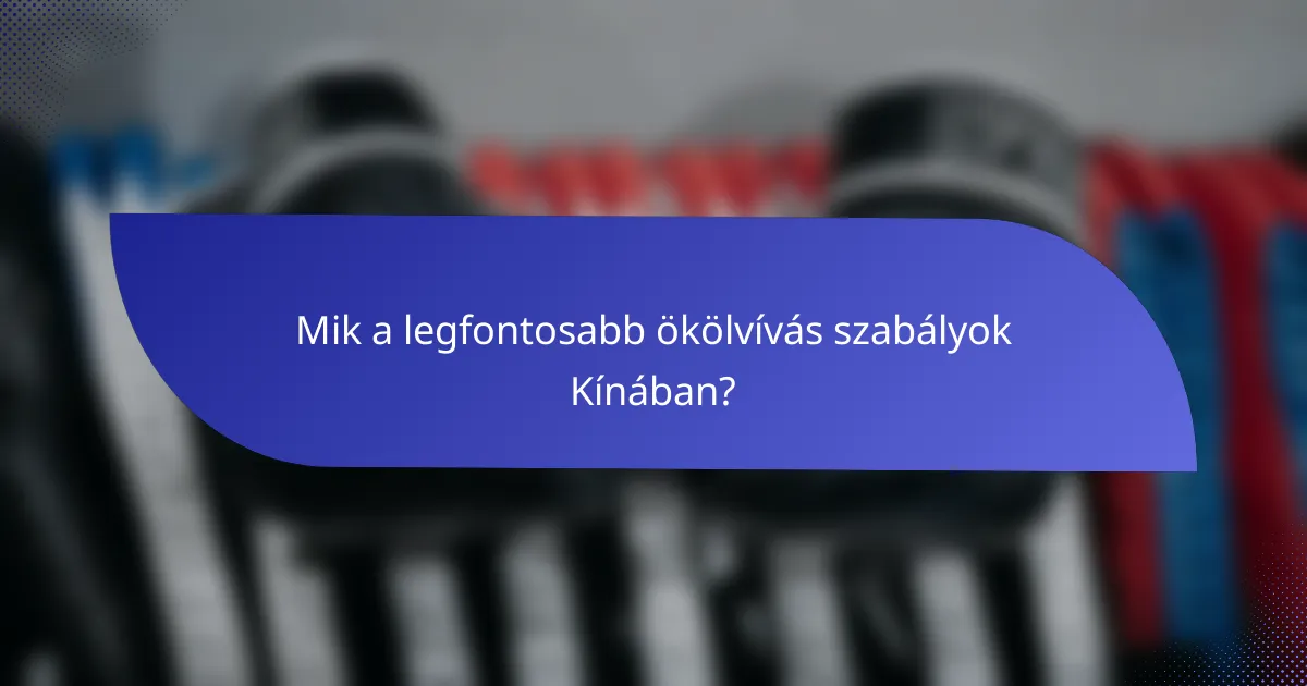 Mik a legfontosabb ökölvívás szabályok Kínában?